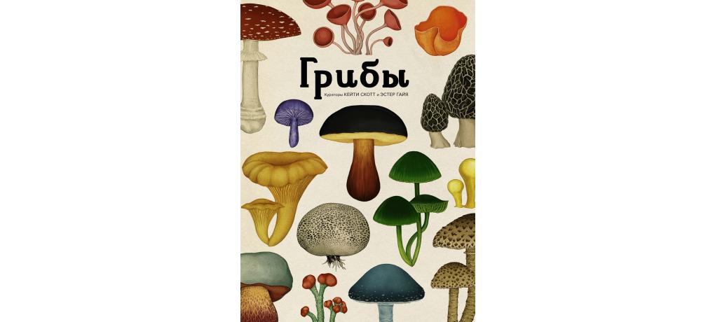 Царство грибов книга. Гриб pdf. Книга про грибы своими руками.