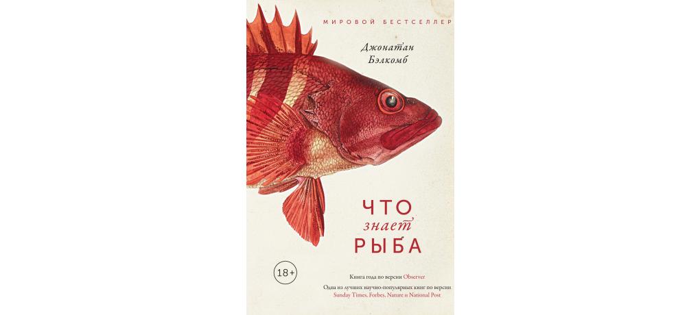 Прочитайте рыбе вода. Джонатан Бэлкомб. Что знает рыба книга. Внутренняя рыба книга. Что ты знаешь о рыбах книга.