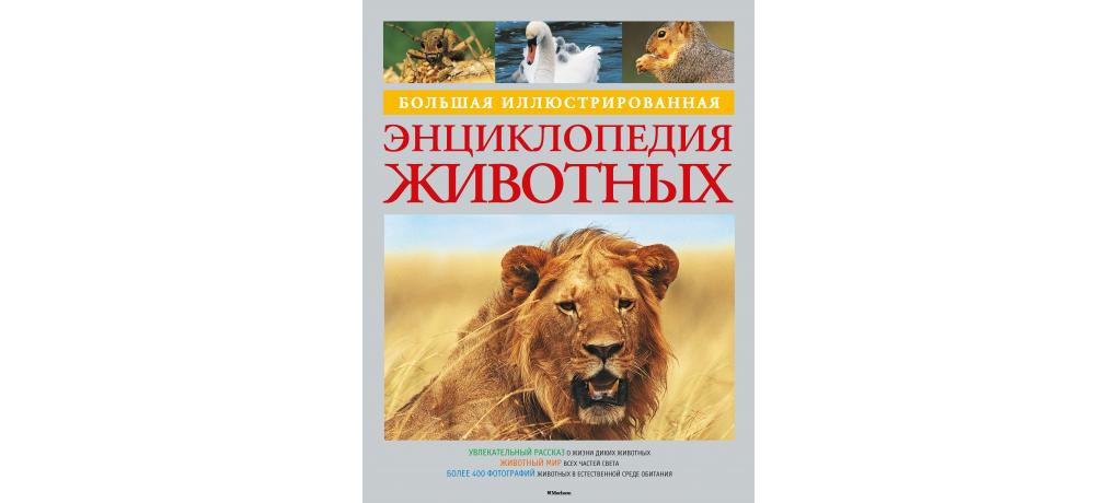Книга большая иллюстрированная энциклопедия. Большая иллюстрированная энциклопедия животных. Большая иллюстрированная энциклопедия. В мире животных энциклопедия Махаон. Иллюстрированная энциклопедия звери.