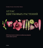 Атлас цветковых растений. 200 ботанических семейств в необычных ракурсах и мельчайших деталях