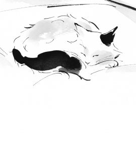 Почему стоит читать «Хроники странствующего кота» Хиро Арикавы